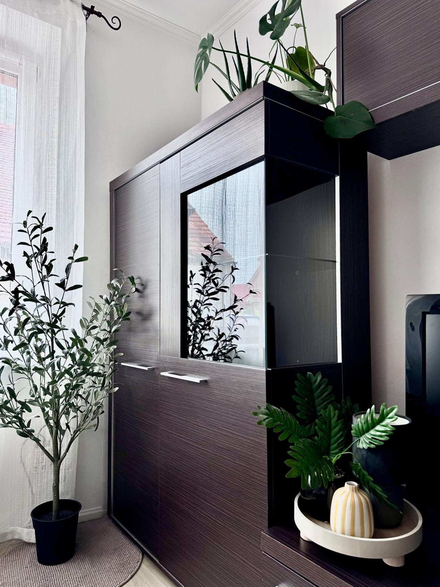 W Centrum Leby Zofia Apartment *